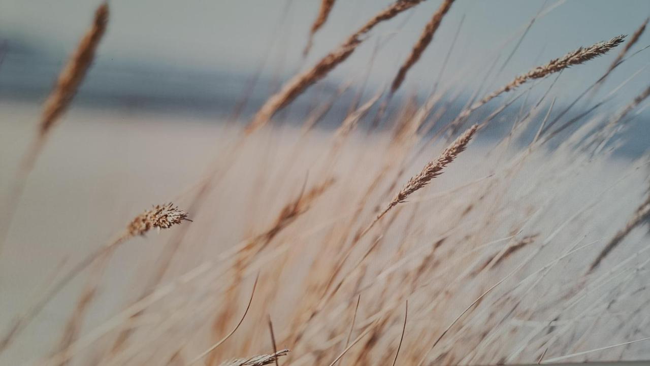 Vila Gile Palanga Luaran gambar